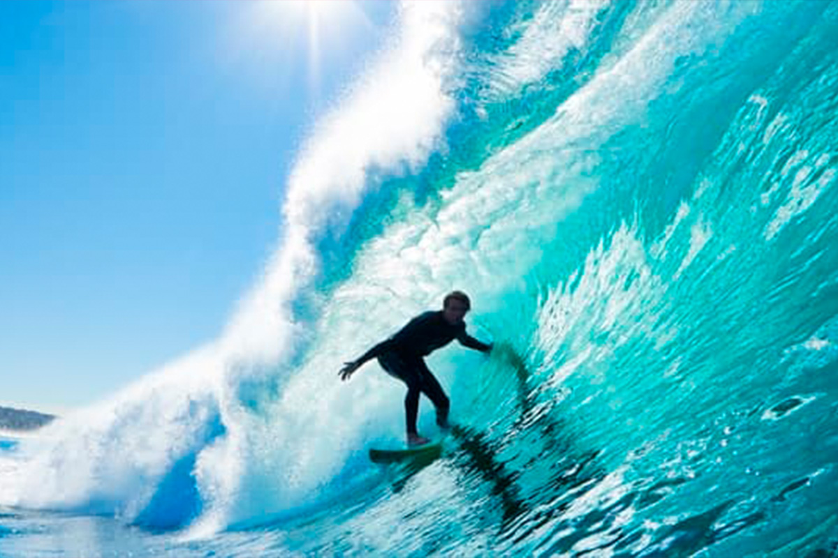 Galería THE ICONIC 1