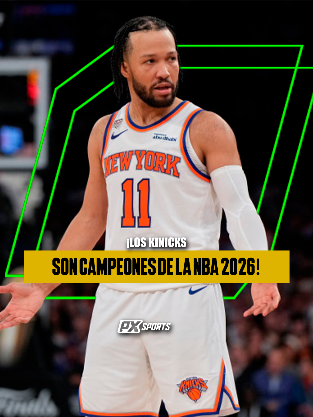Knicks_principal_Px_Sports